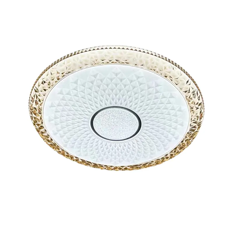 ceiling light (2)主图二.jpg