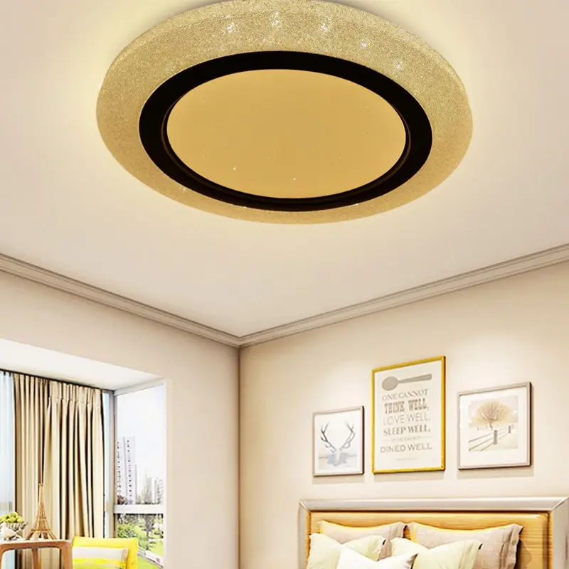 ceiling fixture (3).jpg