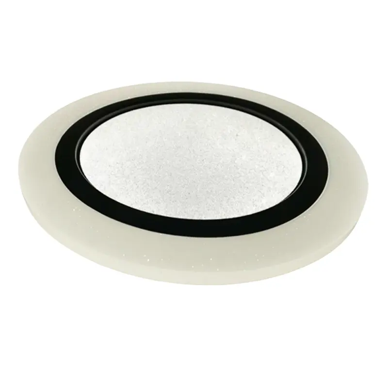 Dimmable Round Ceiling Light YW-CLC079