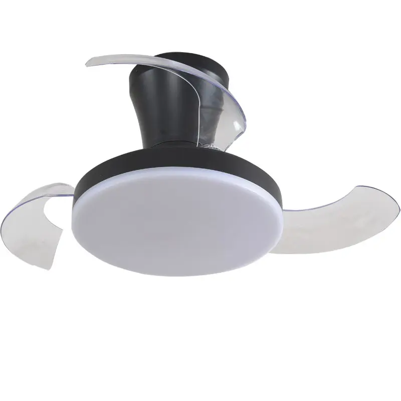 ceiling fan light off.jpg