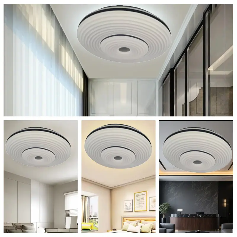 ceiling lamp (2)