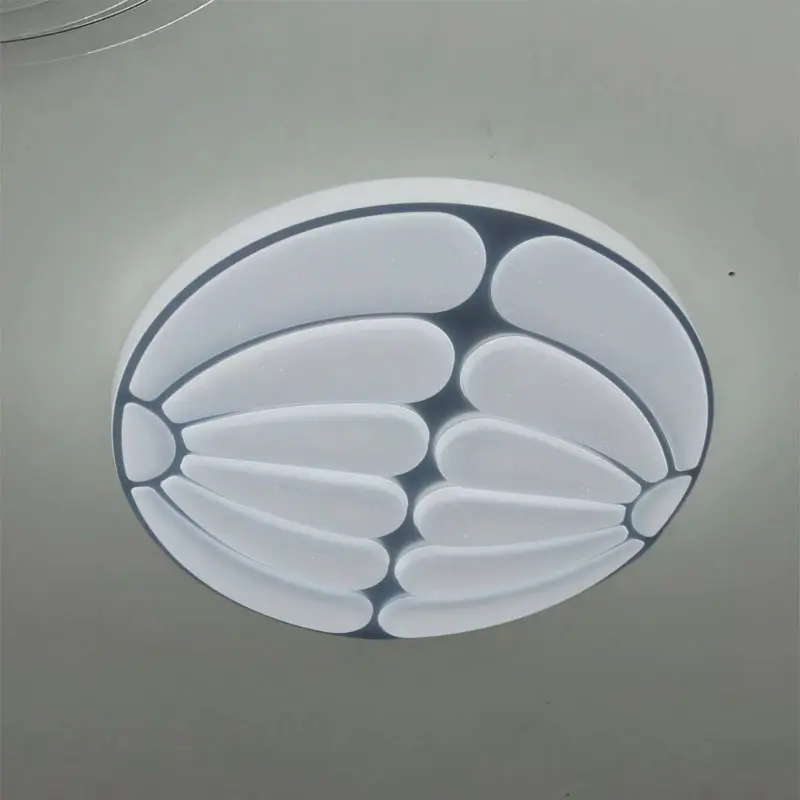 主图一ceiling light 2.jpg