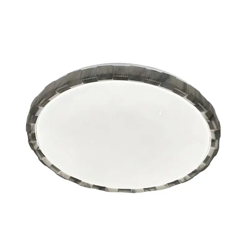 Ceiling Light (3).jpg