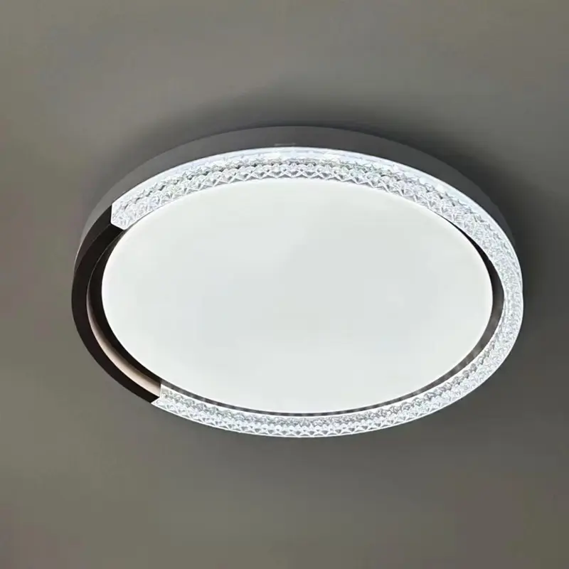 ceiling lamp (4)
