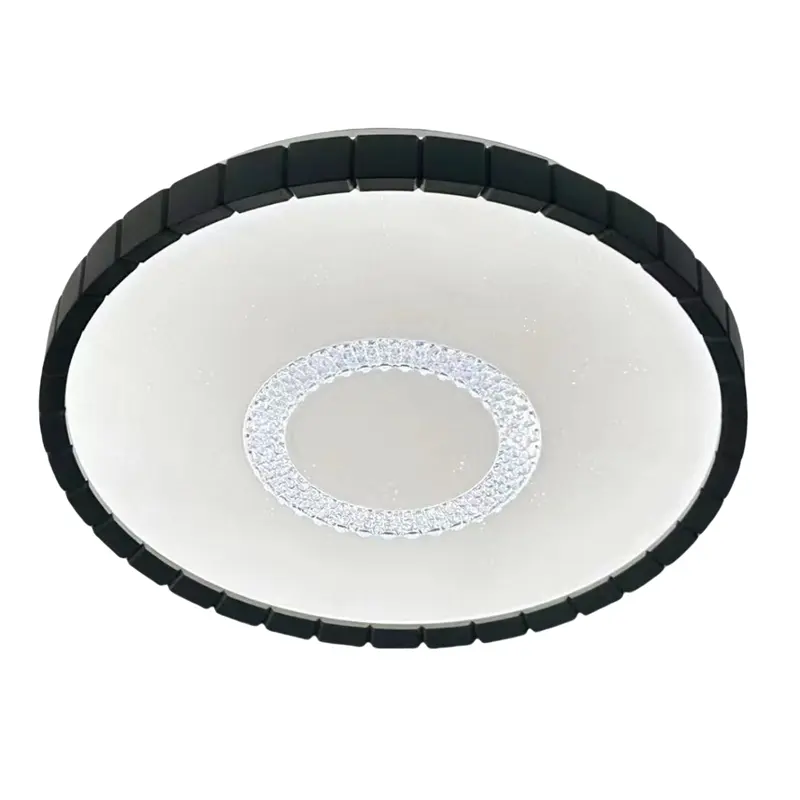 Round Black Indoor Lighting for Home Ceiling Light YW-CLB...