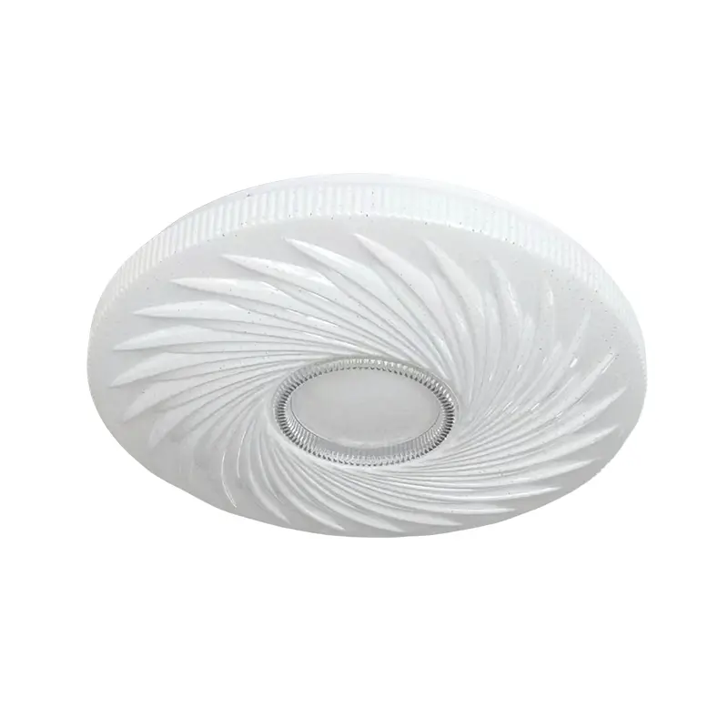 Ceiling light5 (2).jpg