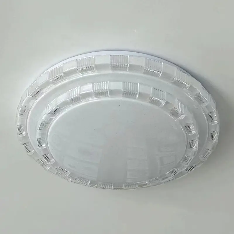 ceiling light.jpg