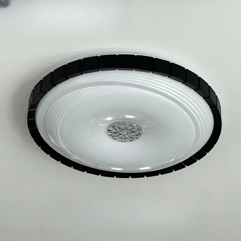 black color ceiling light off.jpg
