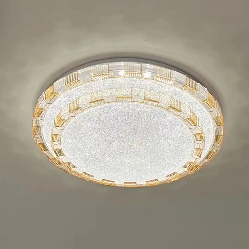 ceiling lamp (6)