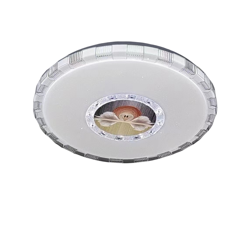 ceiling lamp (6)