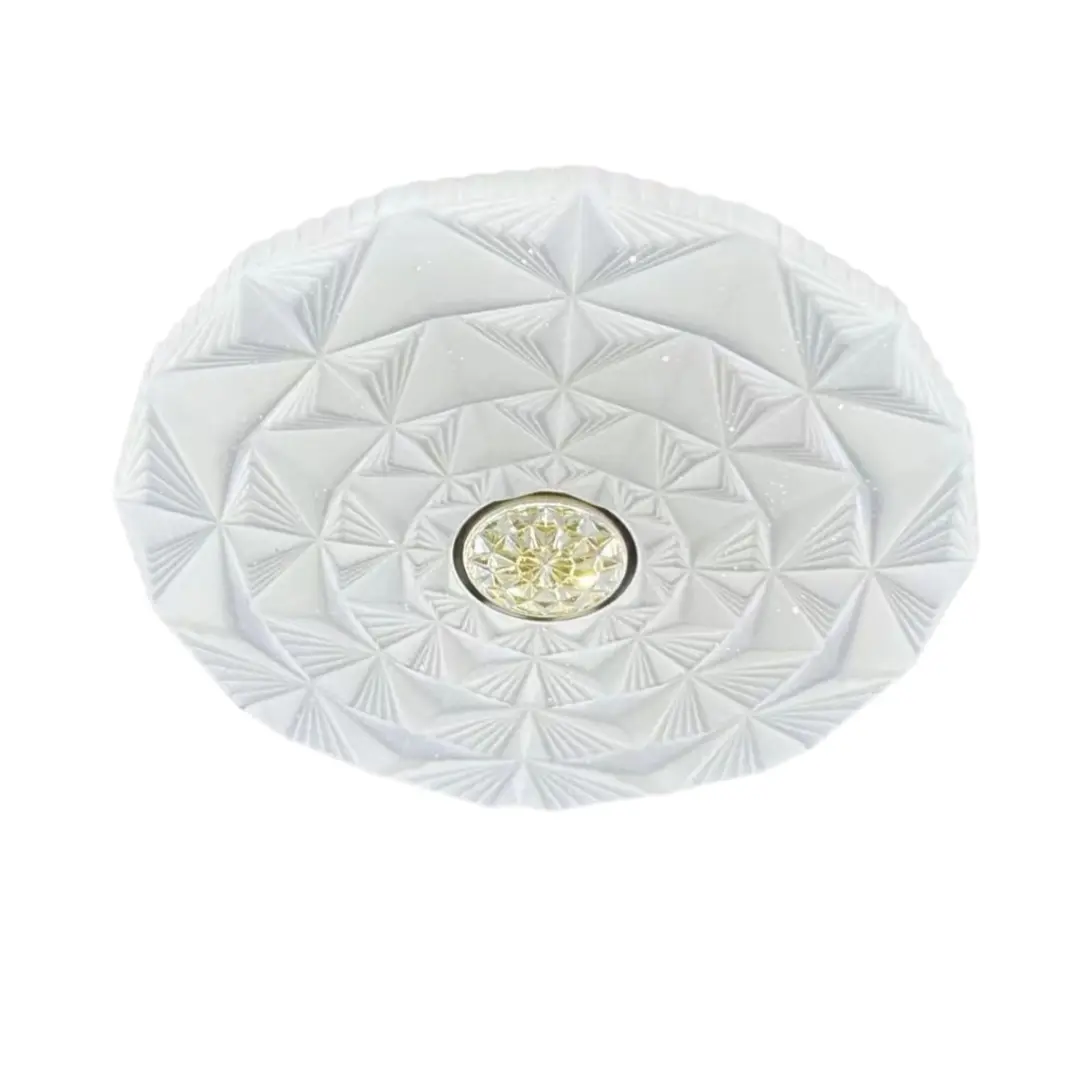 fashion ceiling light (1)