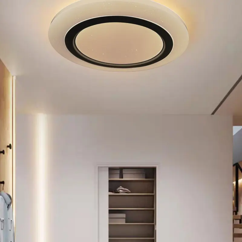 ceiling fixture (4).jpg