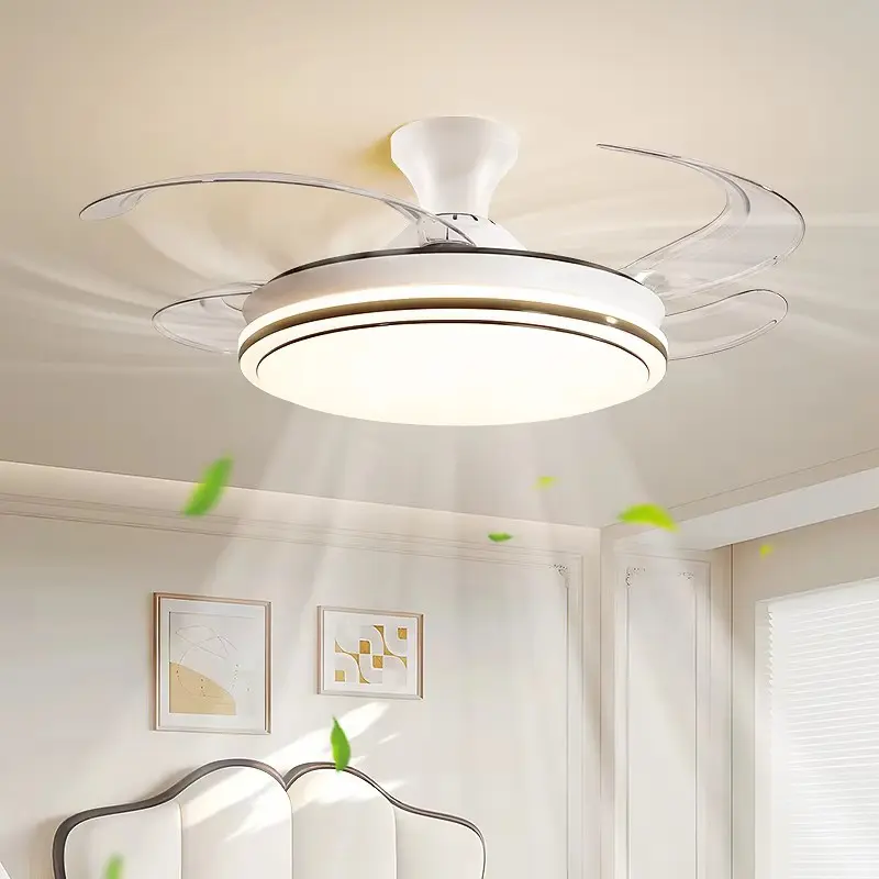 Fan light (2).jpg