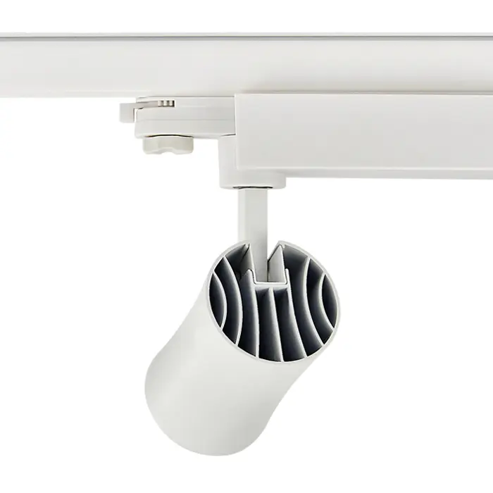 track light (1).jpg