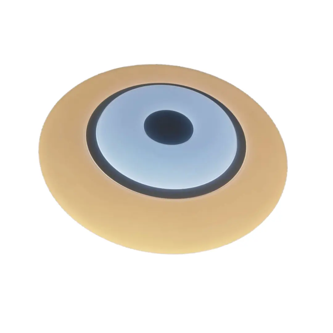 Round Eye Shape LED Ceiling Light for Living Room YW-CLC086