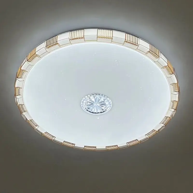 ceiling lamp (6)