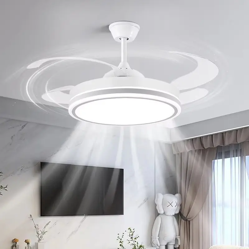 fan light (3).jpg