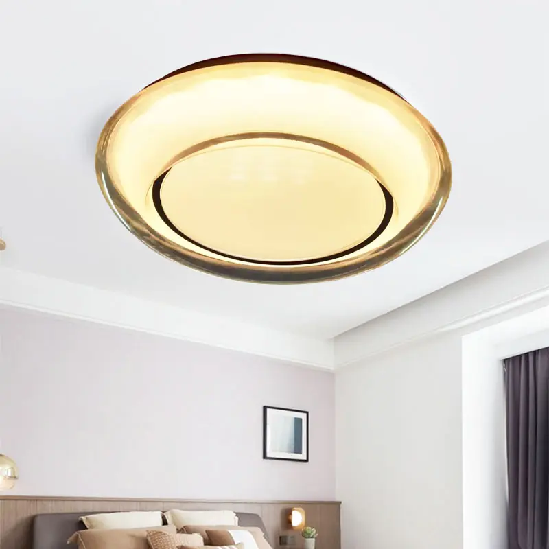 Ceiling light 4.jpg