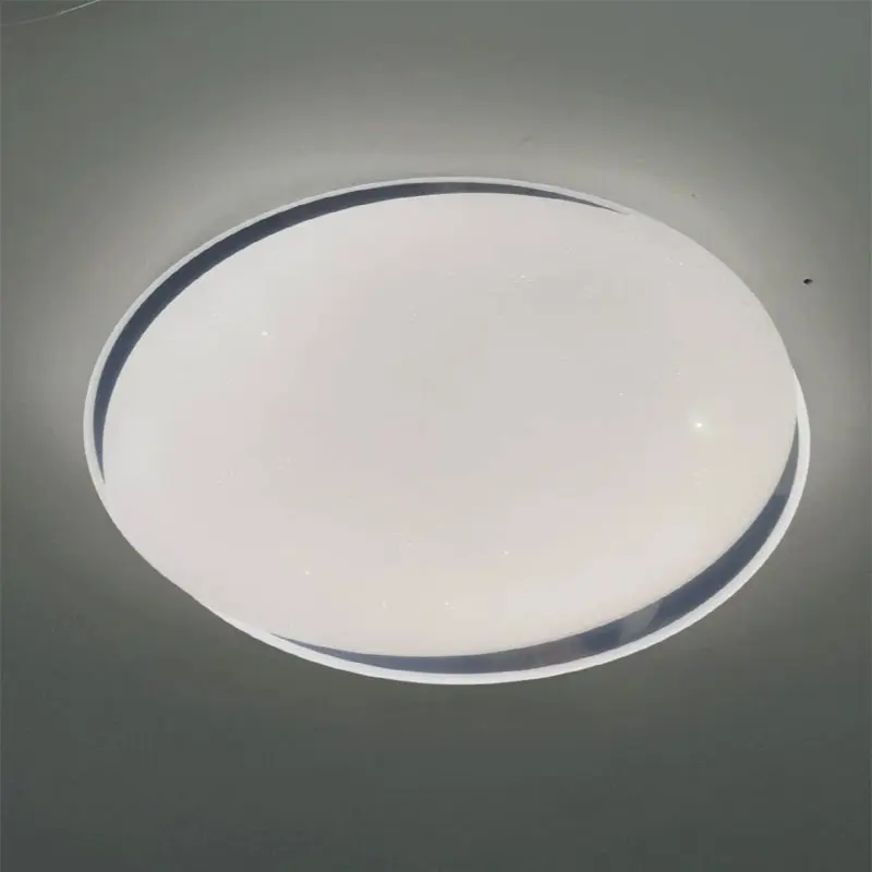 ceiling light2.jpg