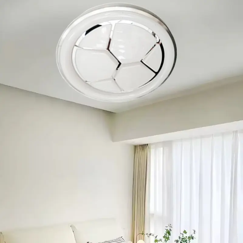 ceiling lamp (6)
