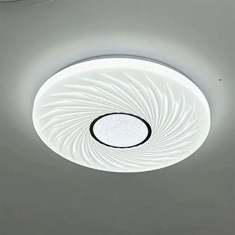 ceiling lamp (4)