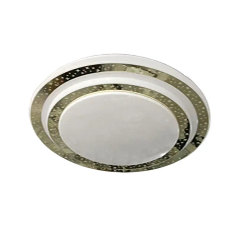 fashion ceiling light (4)