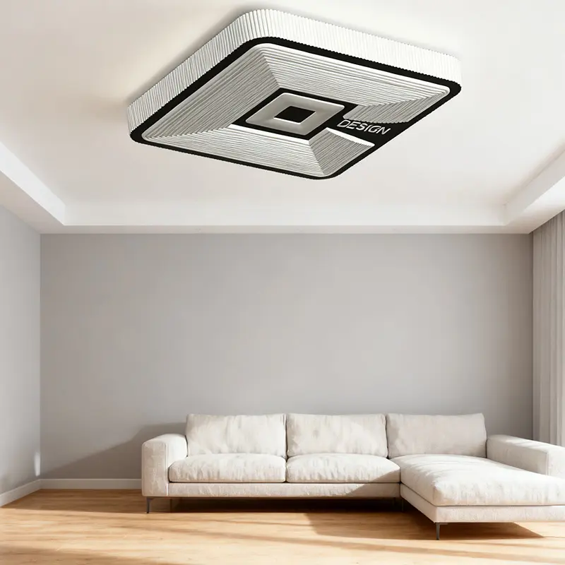 ceiling light (2).jpg
