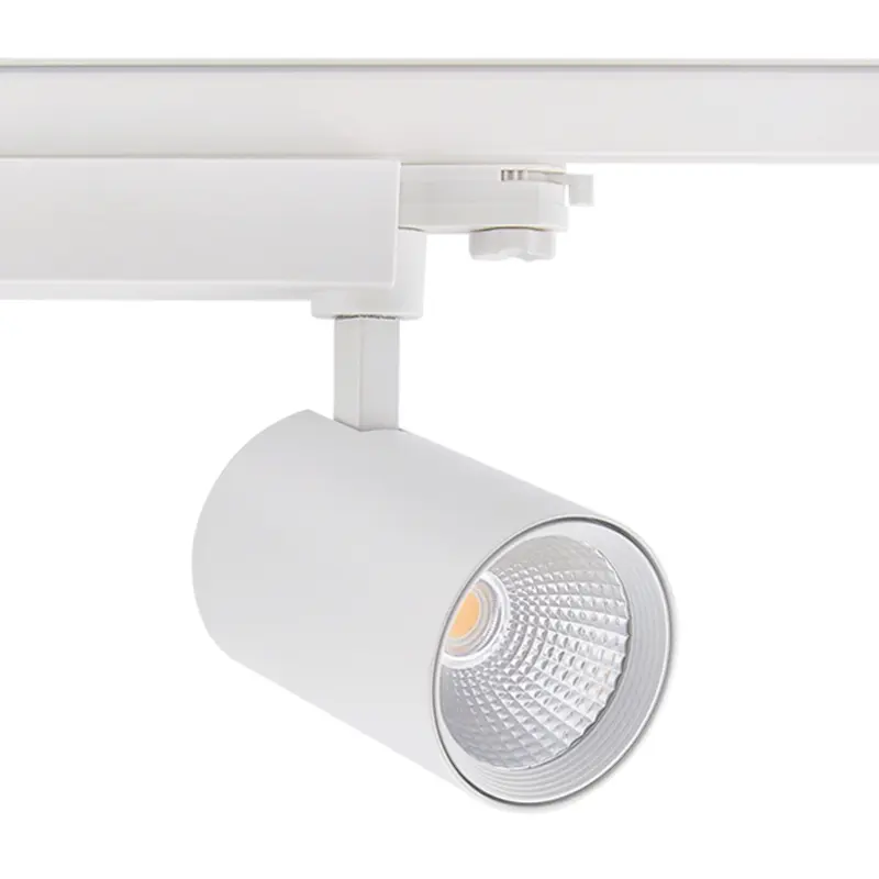 fashion ceiling light (4)