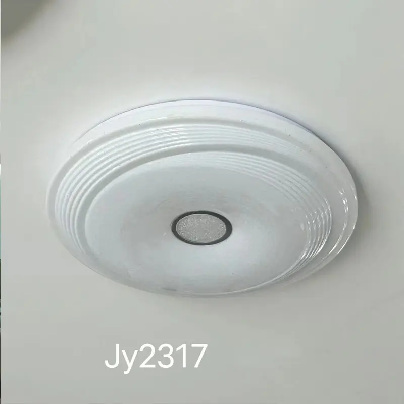 ceiling light (3).jpg