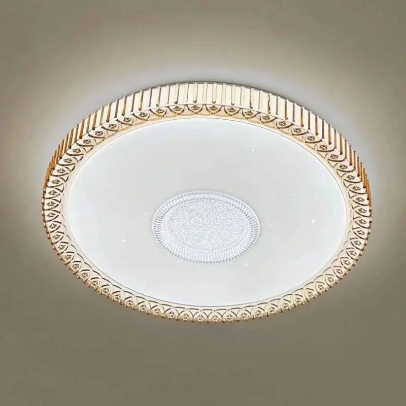 ceilinglamp (6)