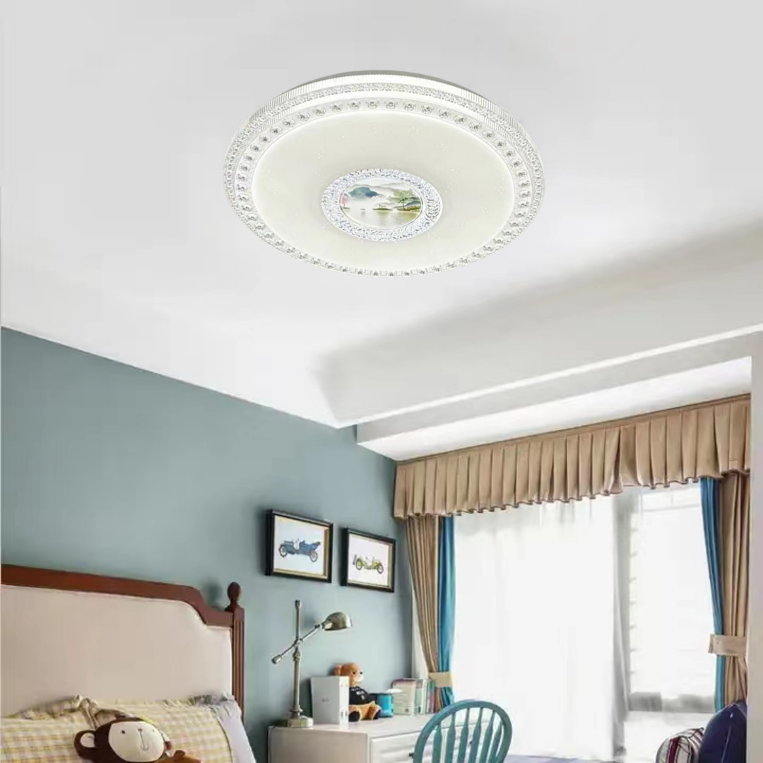 Ceiling fixture (3).png