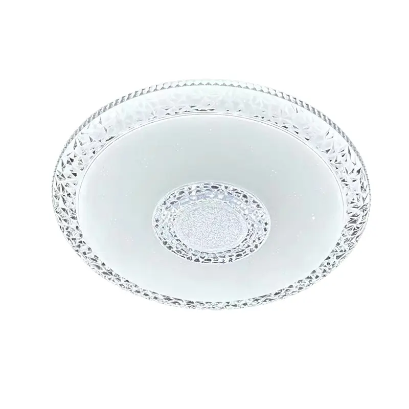 Ceiling light (3).jpg