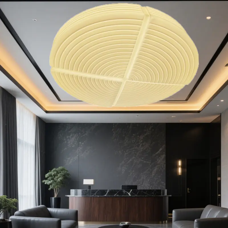 Ceiling Lamp (5).jpg