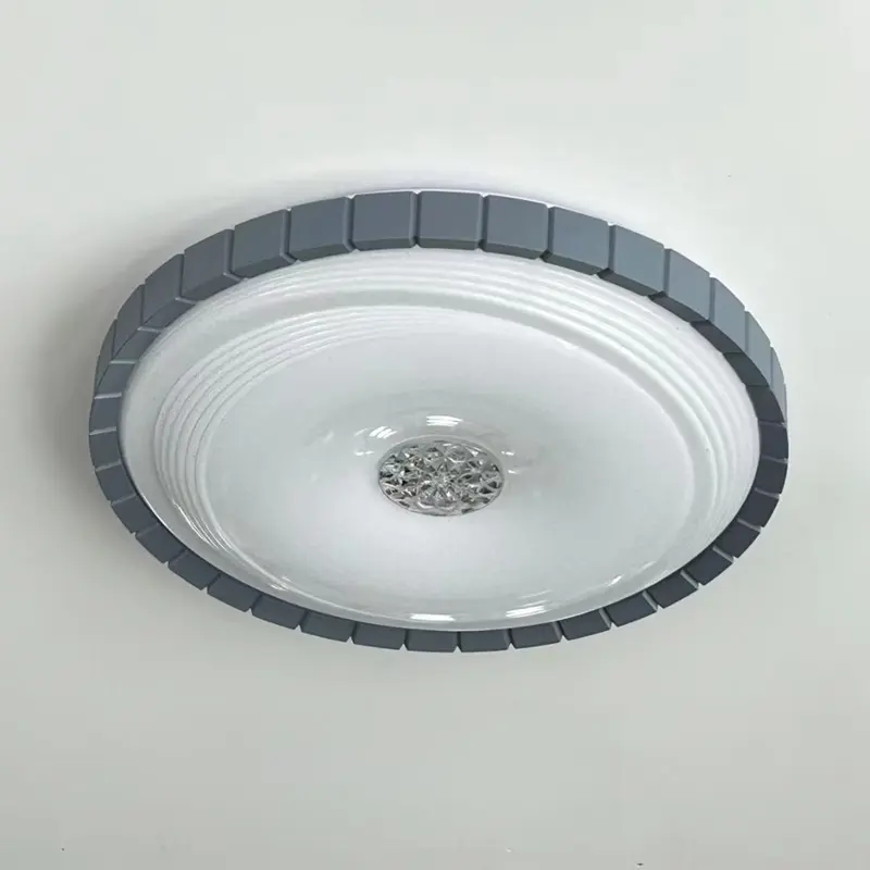 ceiling lamp (4)