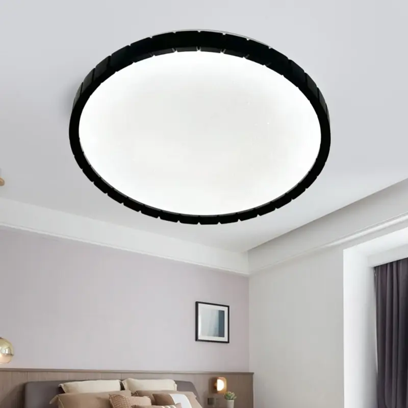 Ceiling fixture (2).jpg
