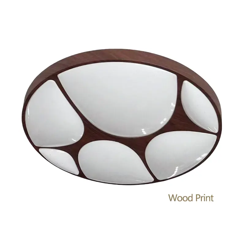 ceiling fixture (5).jpg