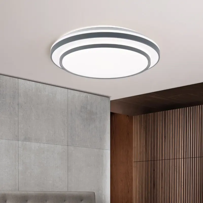 主图二ceiling light