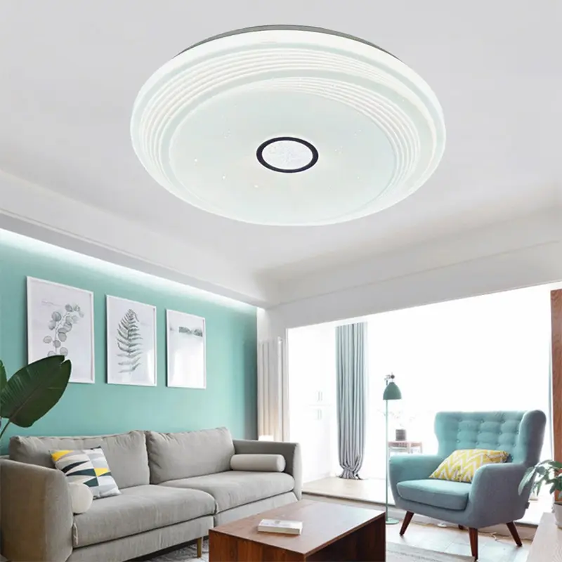 ceiling light (2)主图二.jpg