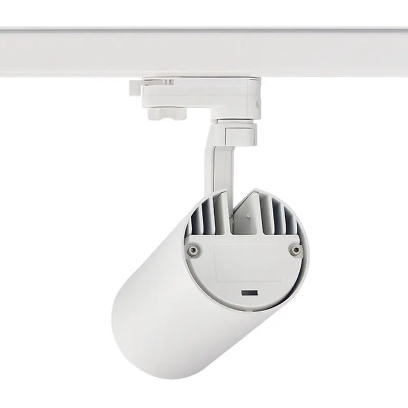 track light (1).jpg