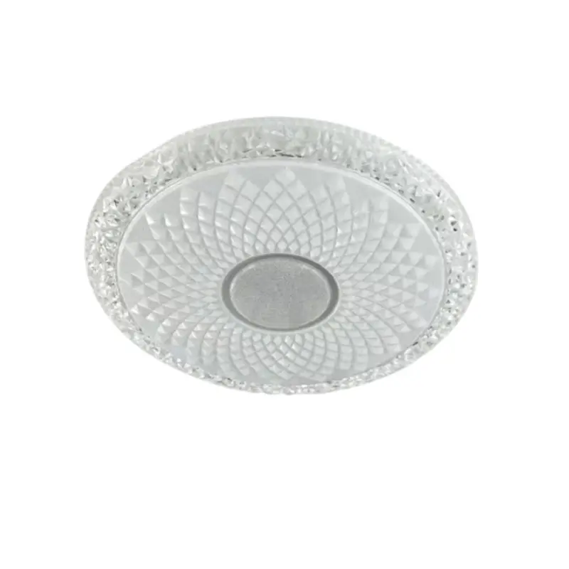 ceiling light (6).jpg