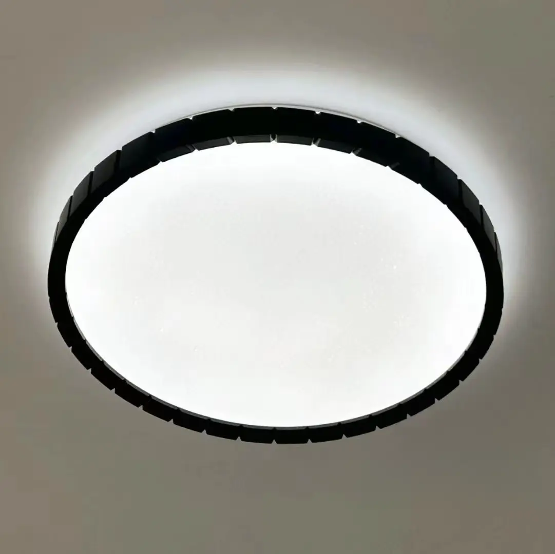 Ceiling fixture (4).png