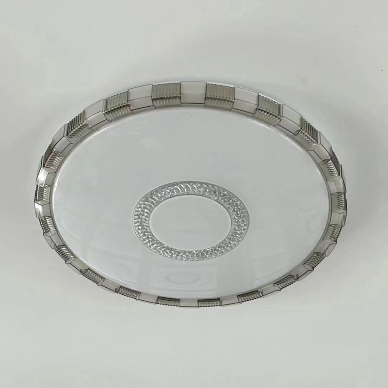 ceiling lamp (6)
