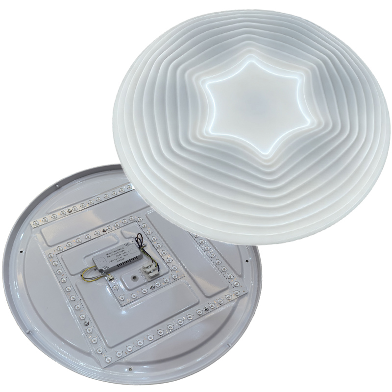 ceiling light (4).jpg