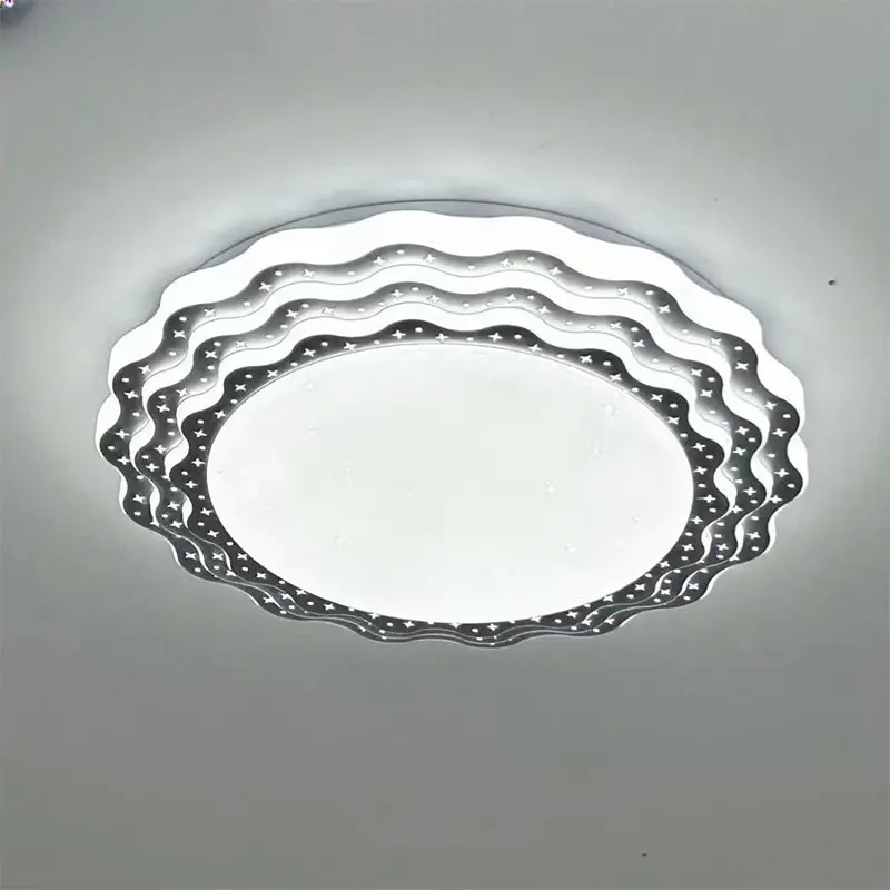 ceiling light1