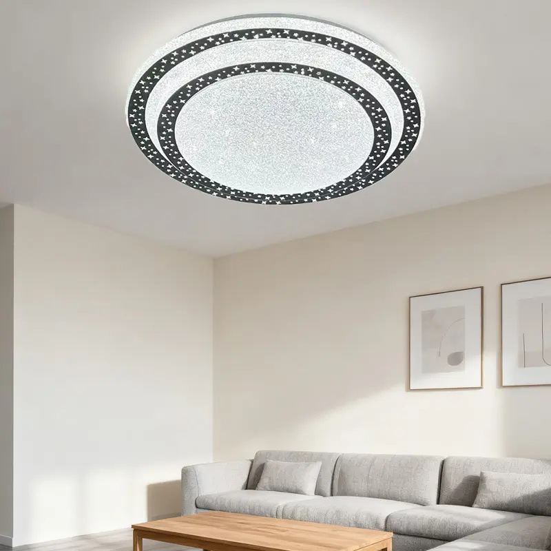 ceiling light (1).jpg