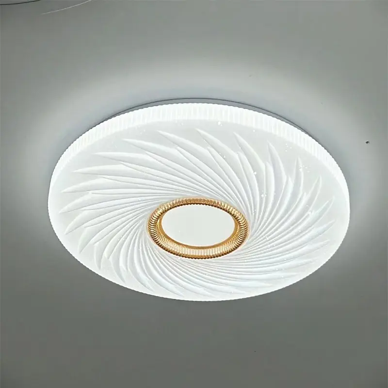Ceiling light5 (6).jpg