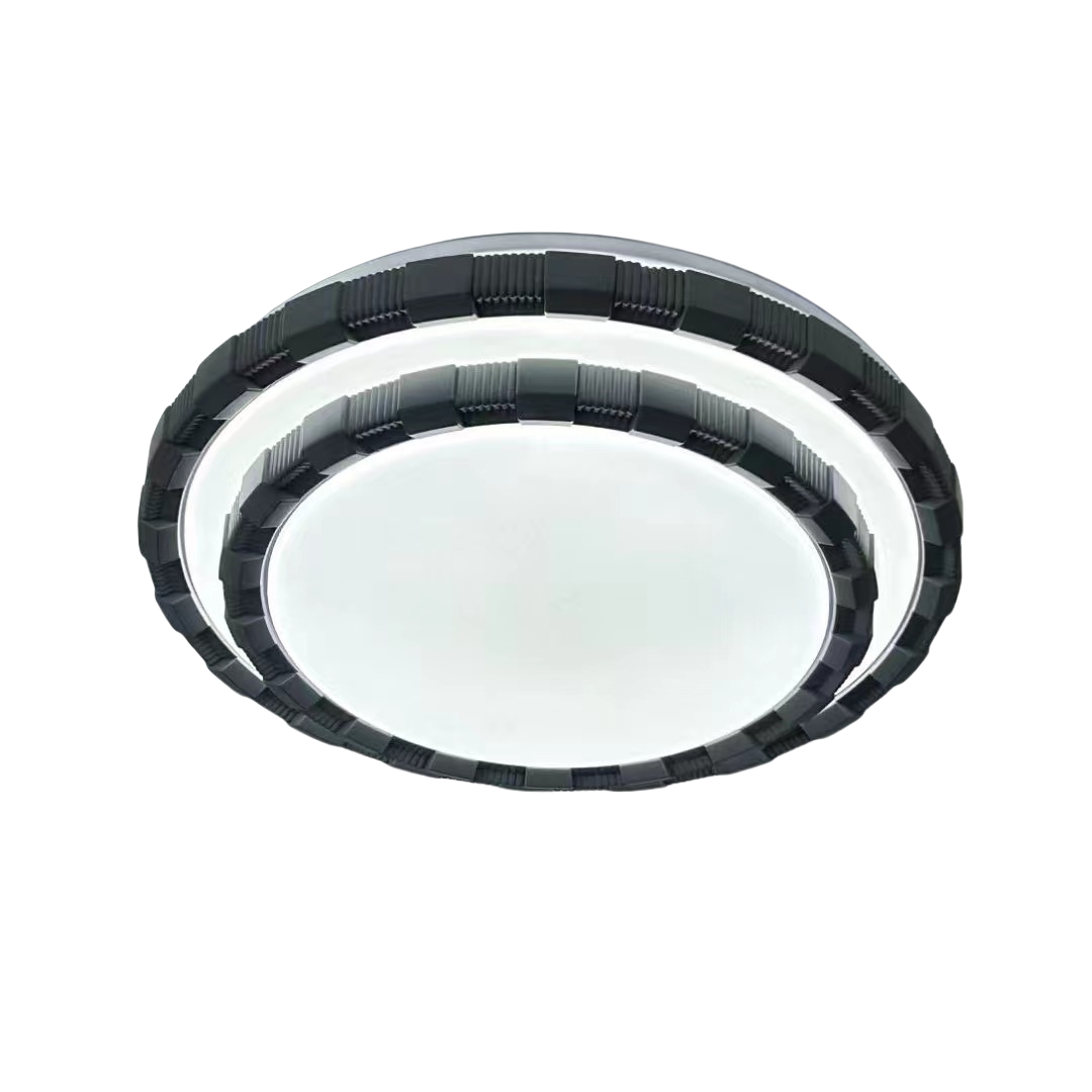 ceiling light (3).jpg