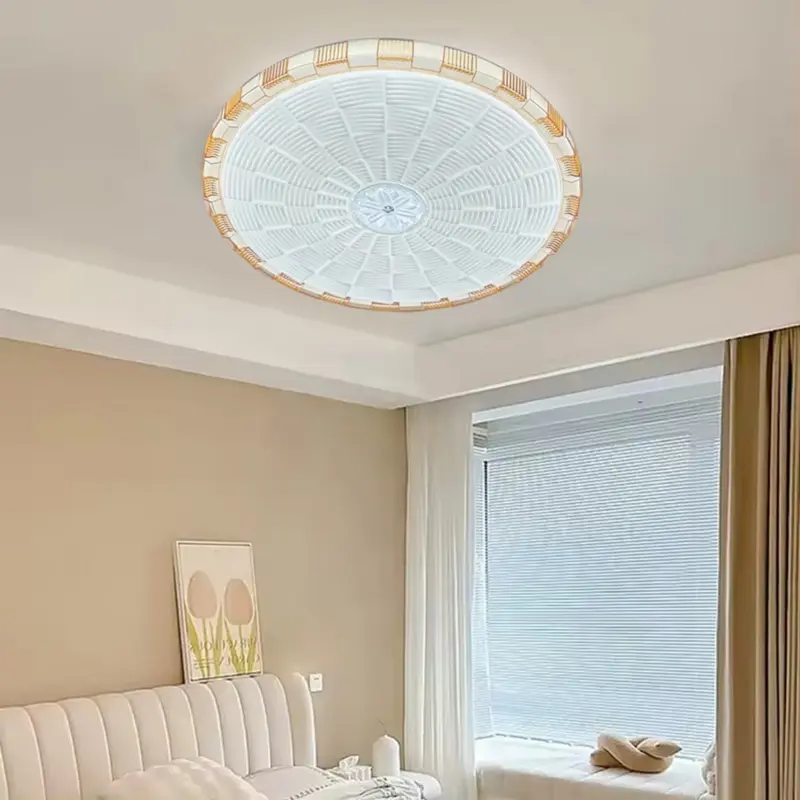 ceiling lamp (5).jpg