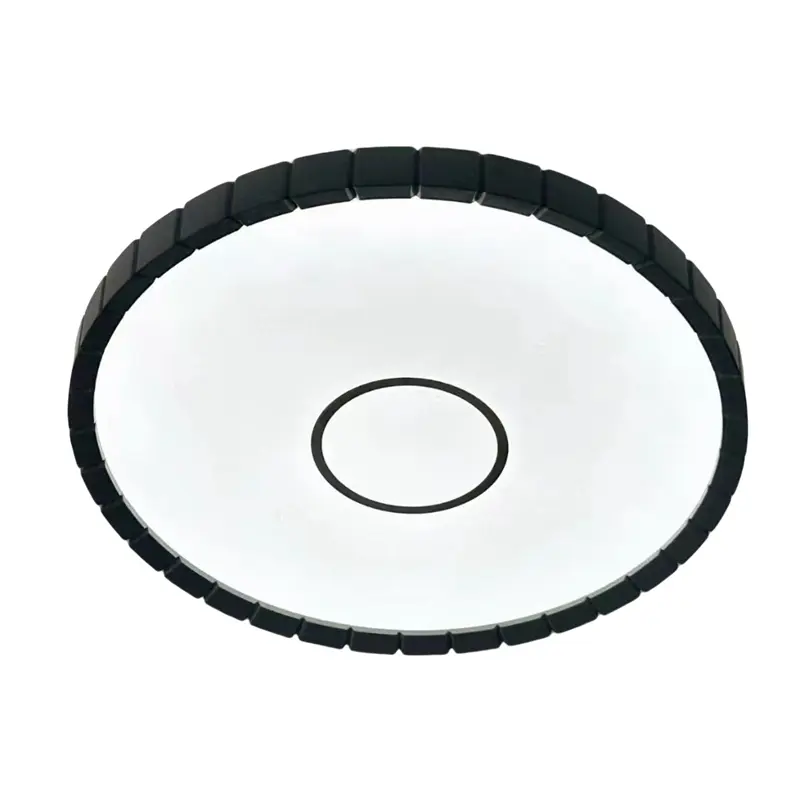 Round Black Indoor Lighting for Home Ceiling Light YW-CLB...