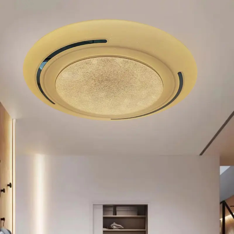 ceiling lamp (4)